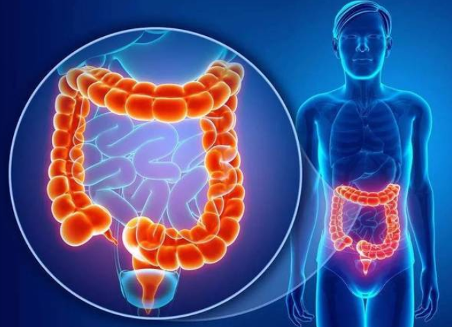 胃和小肠憩室病