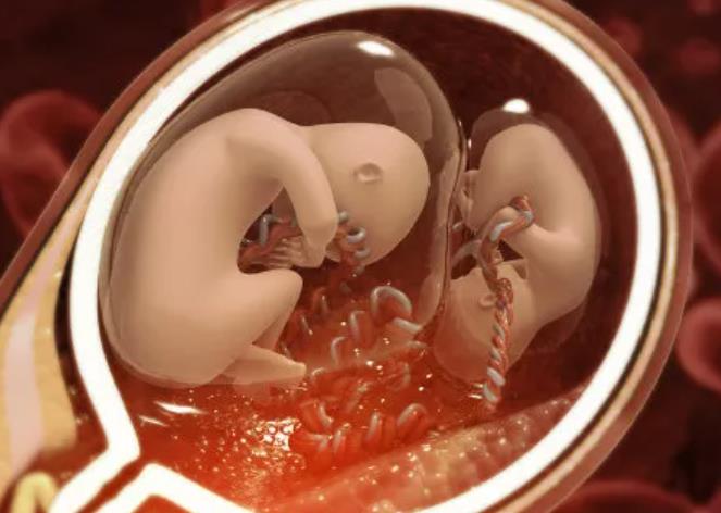 多胎妊娠几个月能看出来？多胞胎危险重重，多胎风险夫妻要早知道