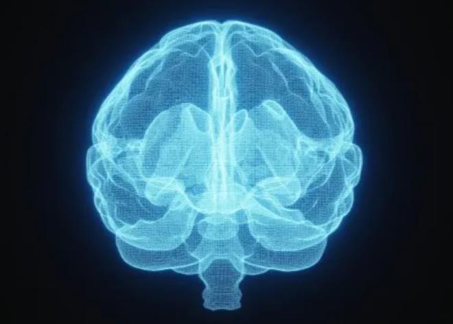 大脑血清素水平可能在阿尔茨海默病发病中起作用？一文了解