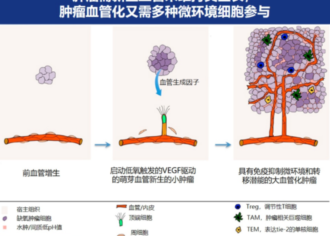 索凡替尼