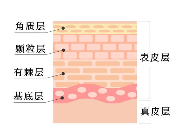 转移性黑色素瘤