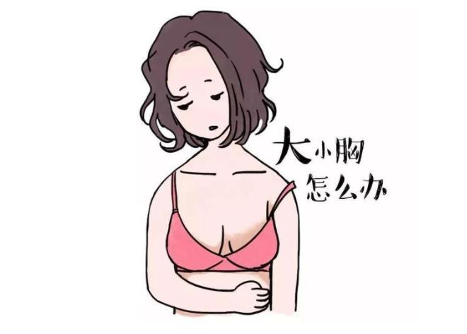 女性胸部一大一小