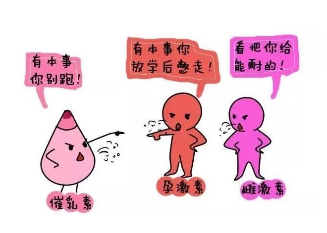 女性激素