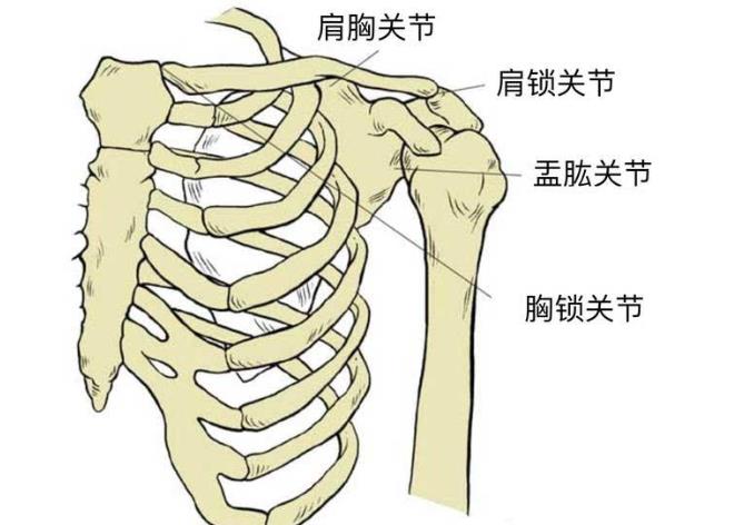 肩关节脱位