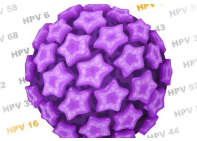 感染了HPV