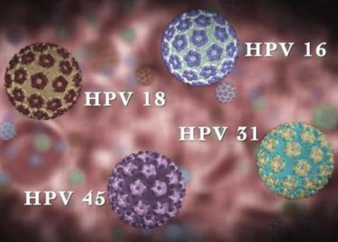 HPV