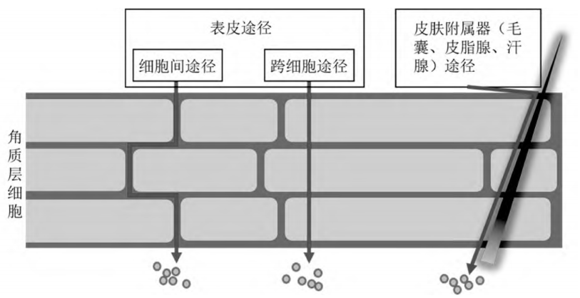 微信图片_20221101083723.png