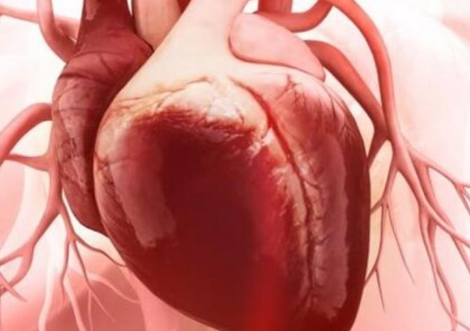 怎么治疗心包炎？心包切除术是心包炎最适合和首选的手术吗？