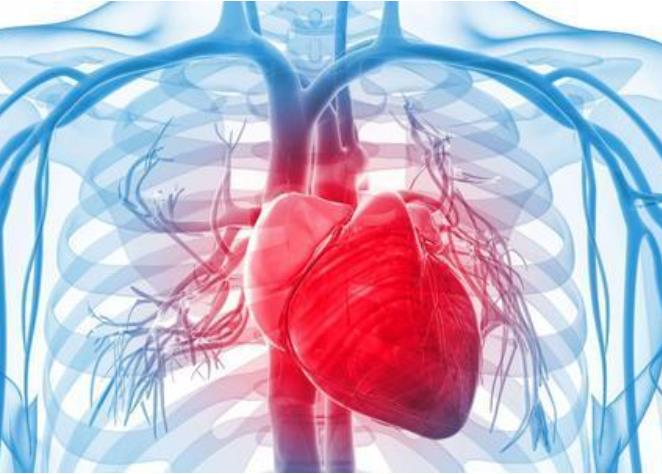 肥厚型心肌病是一种遗传性心血管疾病，青少年的心脏该做哪些检查？