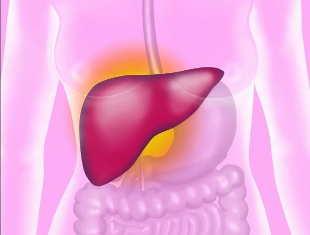 非酒精性脂肪肝的发展过程：如何从健康肝脏发展成非酒精性脂肪肝