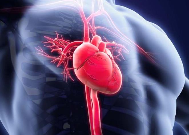 心肌炎是比较常见的病吗？怎么诊断出心肌炎？怎么治疗心肌炎？