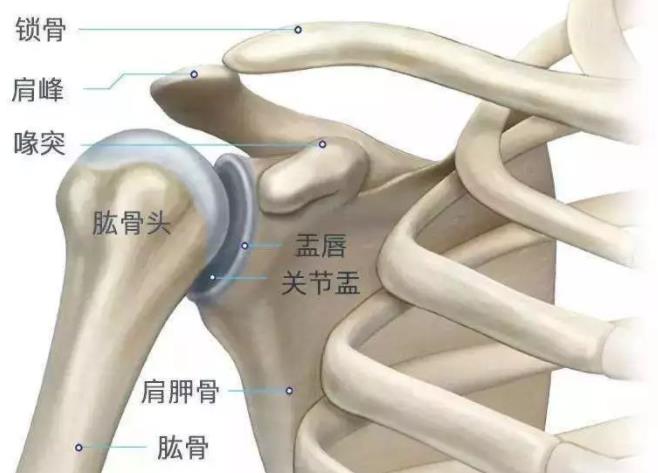 一分钟教你认识肩周炎 两分钟教你解决它