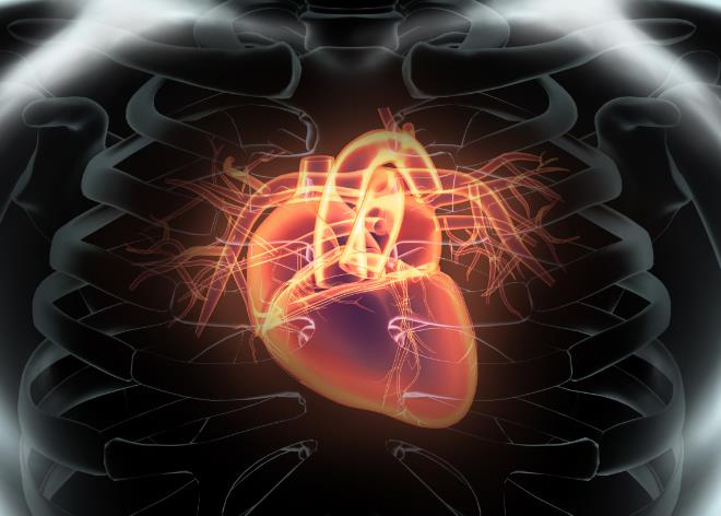 保护心脏有这四点建议，如果心脏病患者坚持做好，心脏会感激你的