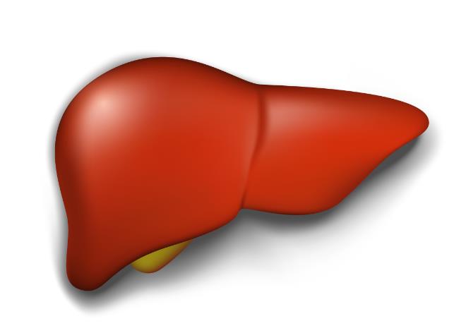这四个症状一出现，就提示你的肝脏可能“有病”，趁早检查一下